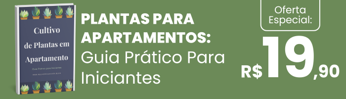 Ebook-Plantas-para-Apartamentos-Guia-Pratico-Para-Iniciantes-v2 Planta para Apartamento: Guia Prático para Iniciantes